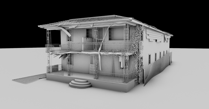 Shotgun houses