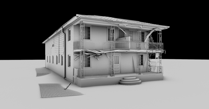 Shotgun houses