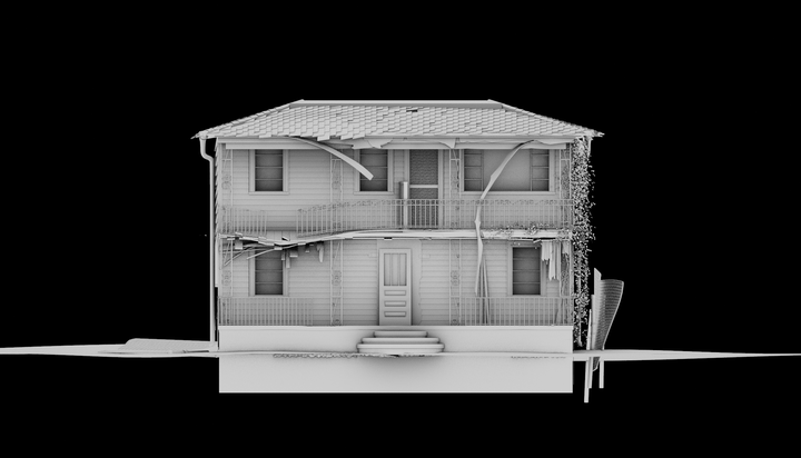 Shotgun houses